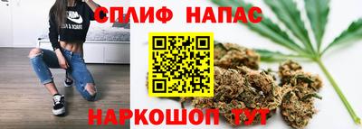 ПСИЛОЦИБИНОВЫЕ ГРИБЫ Кандалакша