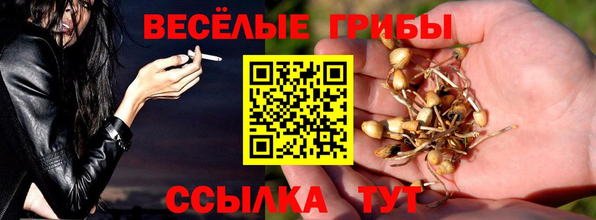 Псилоцибиновые грибы Psilocybine cubensis  Вход с VPN  Красноярск 
